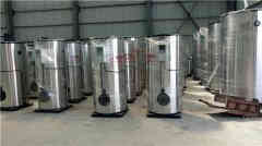  十吨燃气低氮锅炉