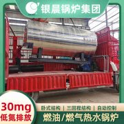 WNS20-1.25-QY蒸汽锅炉多宝网