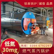 WNS10-1.25-QY蒸汽锅炉多宝网