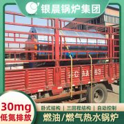 WNS12-1.25-QY冷凝蒸汽锅炉多宝网