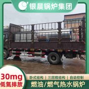 WNS6-1.25-QY蒸汽锅炉银晨锅炉集团有限公司