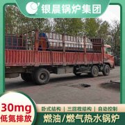 WNS0.7-1.0-QY节能蒸汽锅炉多宝网
