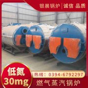 WNS0.7-1.0-QY燃气蒸汽锅炉多宝网