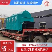 1吨天然气蒸汽锅炉多宝网