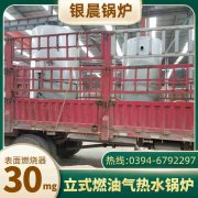 3吨天然气蒸汽锅炉多宝网