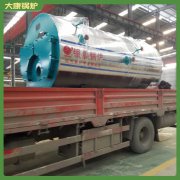 河北20t低氮锅炉